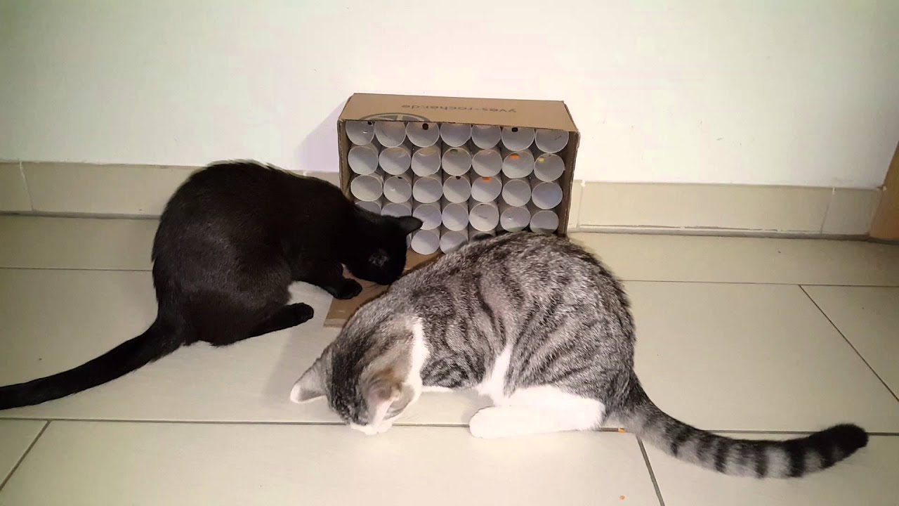 Die erste Fummelbox (by Joshi und Sofia)