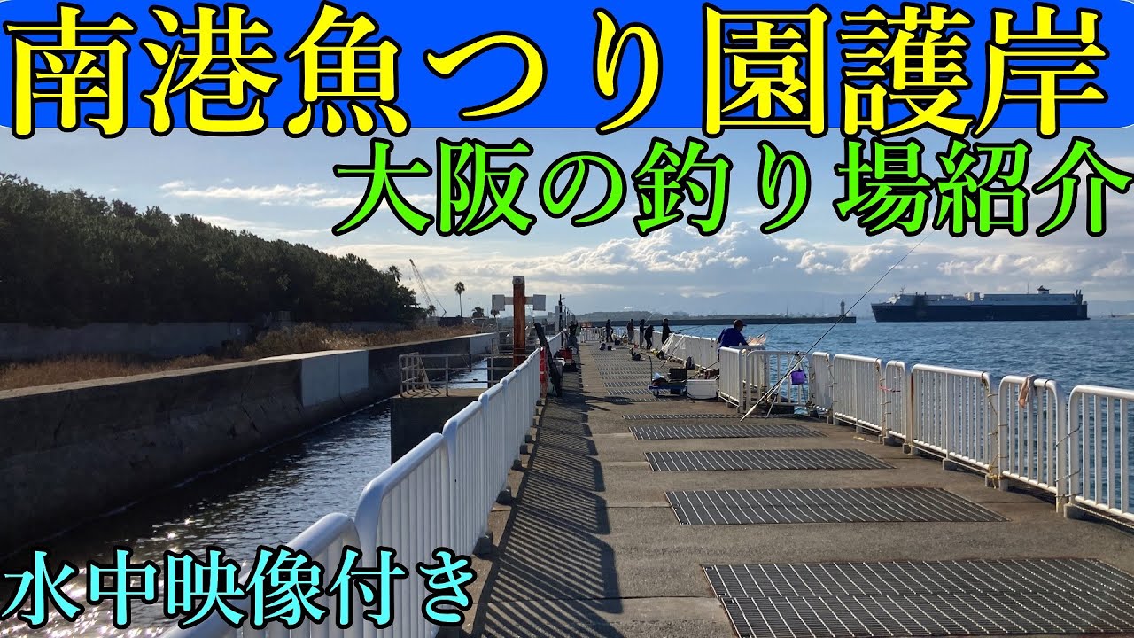 南港魚つり園護岸の釣りポイントを水中映像を付けて紹介！人気スポットを攻略