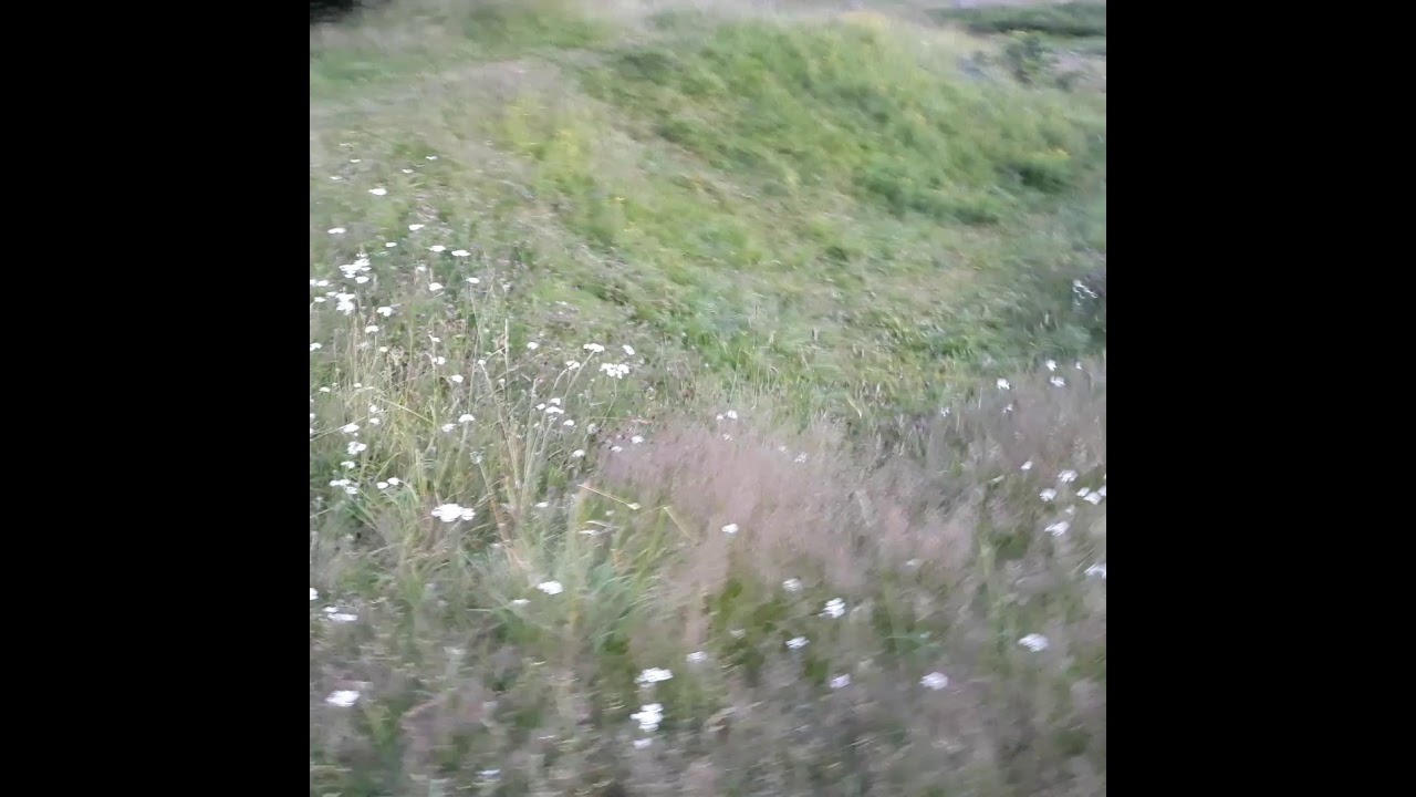 Borrehaugene Burial Mounds in Vestfold, Horten, Norway