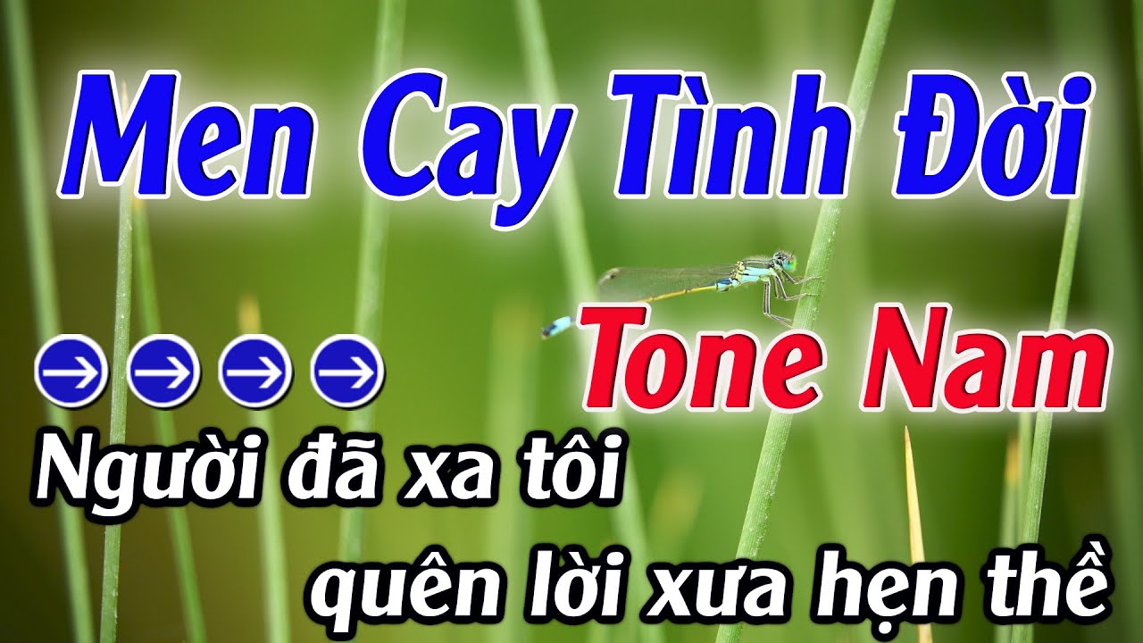Karaoke Men Cay Tình Đời Karaoke Tone Nam Beat Hay Nhất 2025 Karaoke Mê Nhạc Sống