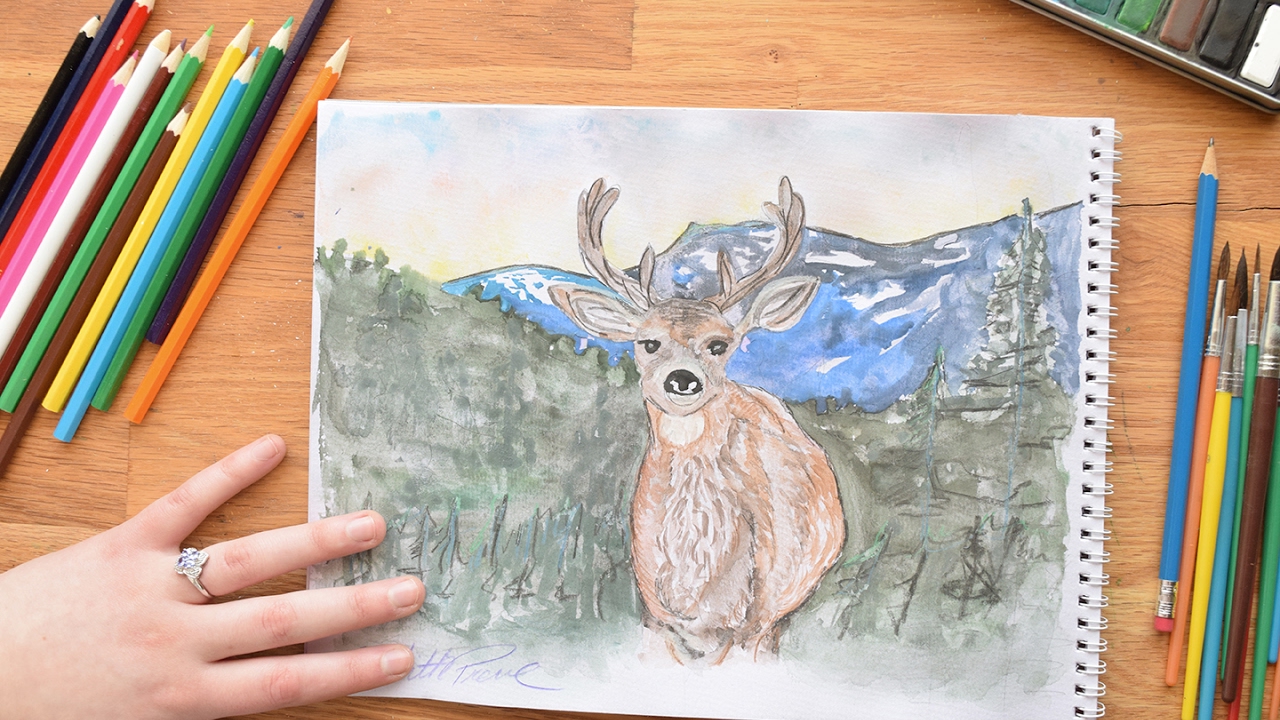 Cheap Art Supply Challenge ~ Everything Under $8!