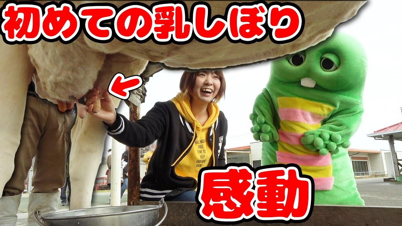 【初体験】ガチャピンと牛の乳しぼりやってみたら…！【マザー牧場】