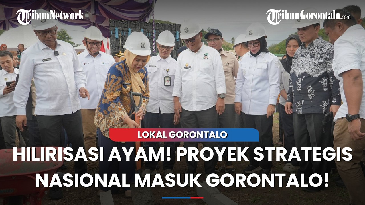 Gorontalo Masuk Tahap Awal Hilirisasi Ayam Nasional, Wagub Idah Syahidah Lakukan Groundbreaking!