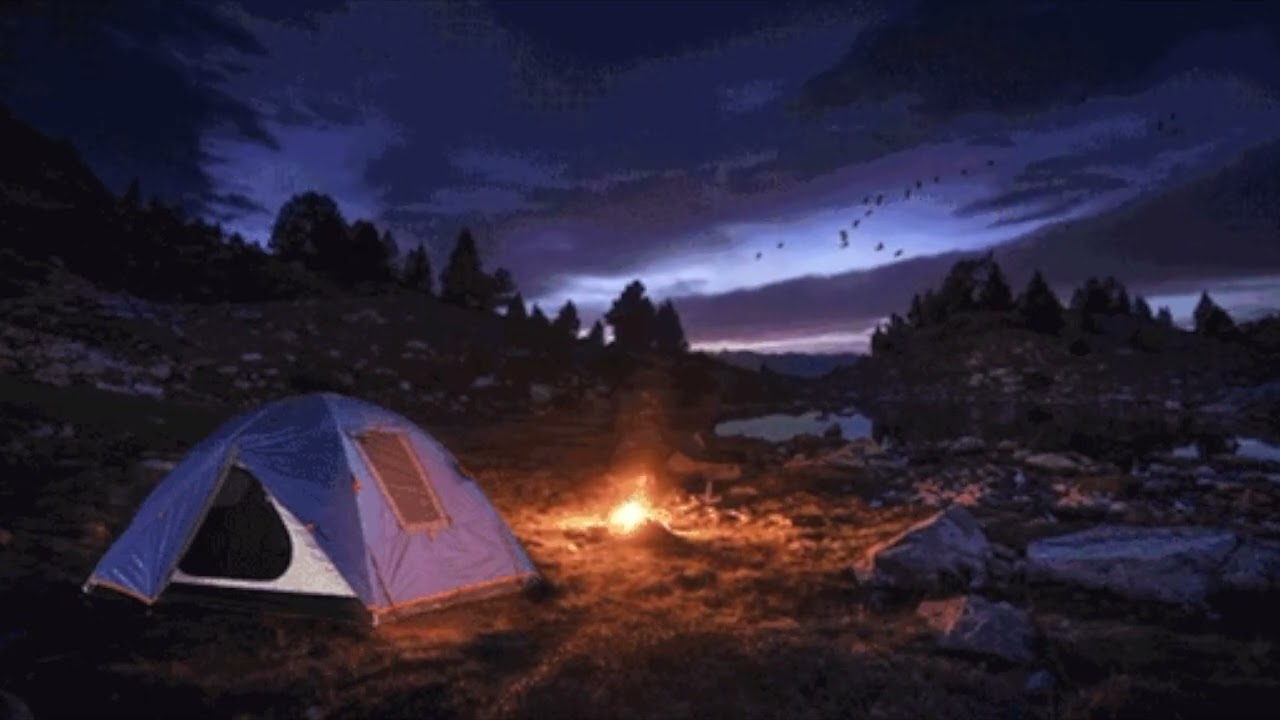 Relaxing Night Camp Fire