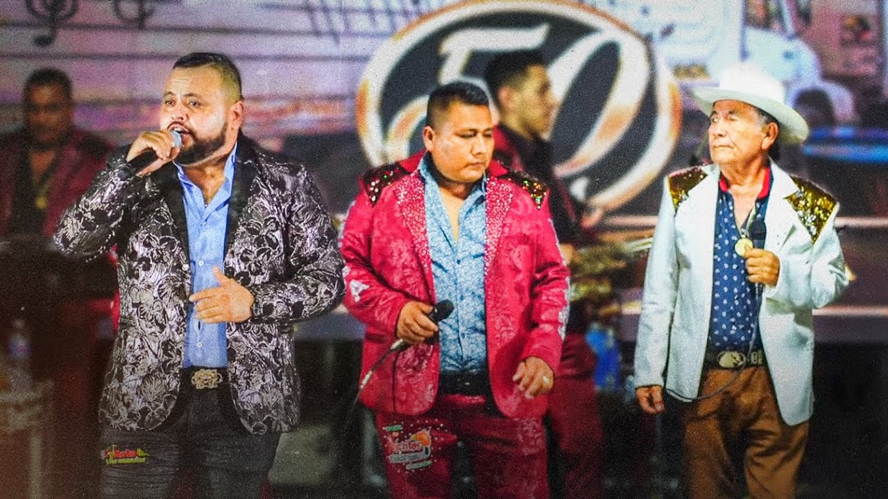 Los Pajaritos de Tacupa & Beto Y Sus Canarios - Confusión