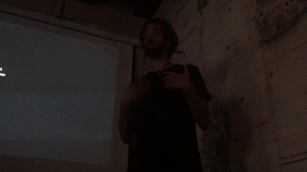 Vegan Workshop - Effective Activism| Seb Alex Cracow, Poland 25.07.18