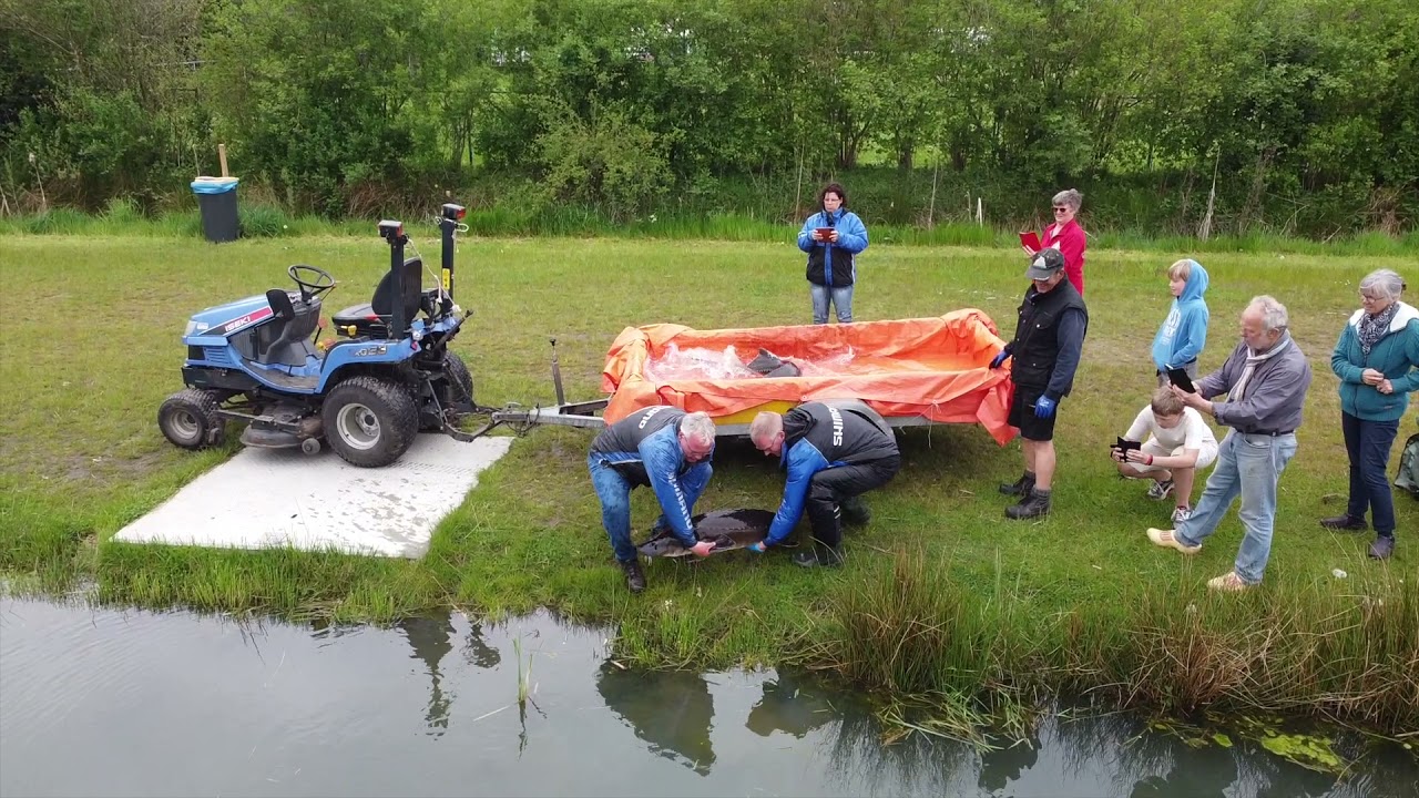 Uitzet 20 steuren op de Big Game