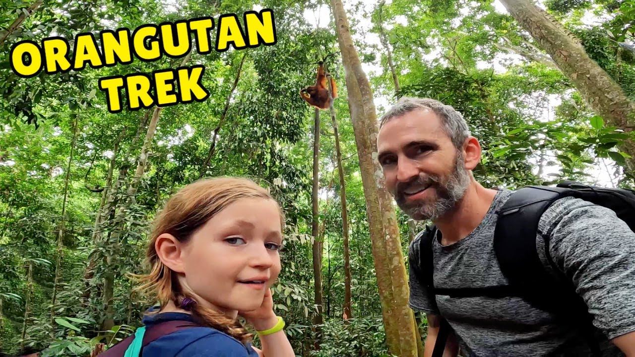 Поход в джунгли с орангутанами на Суматре, Индонезия 🇮🇩 | Келли получает травму 😱