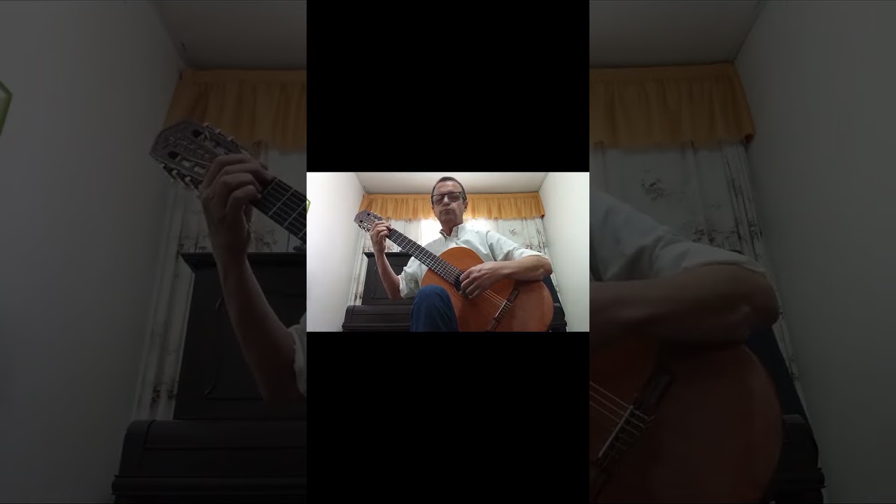 Serie Pampas N° 1 de Héctor Ayala por Ivo Roberto Vincenzi     #musica #guitarra #violão #chitarra 