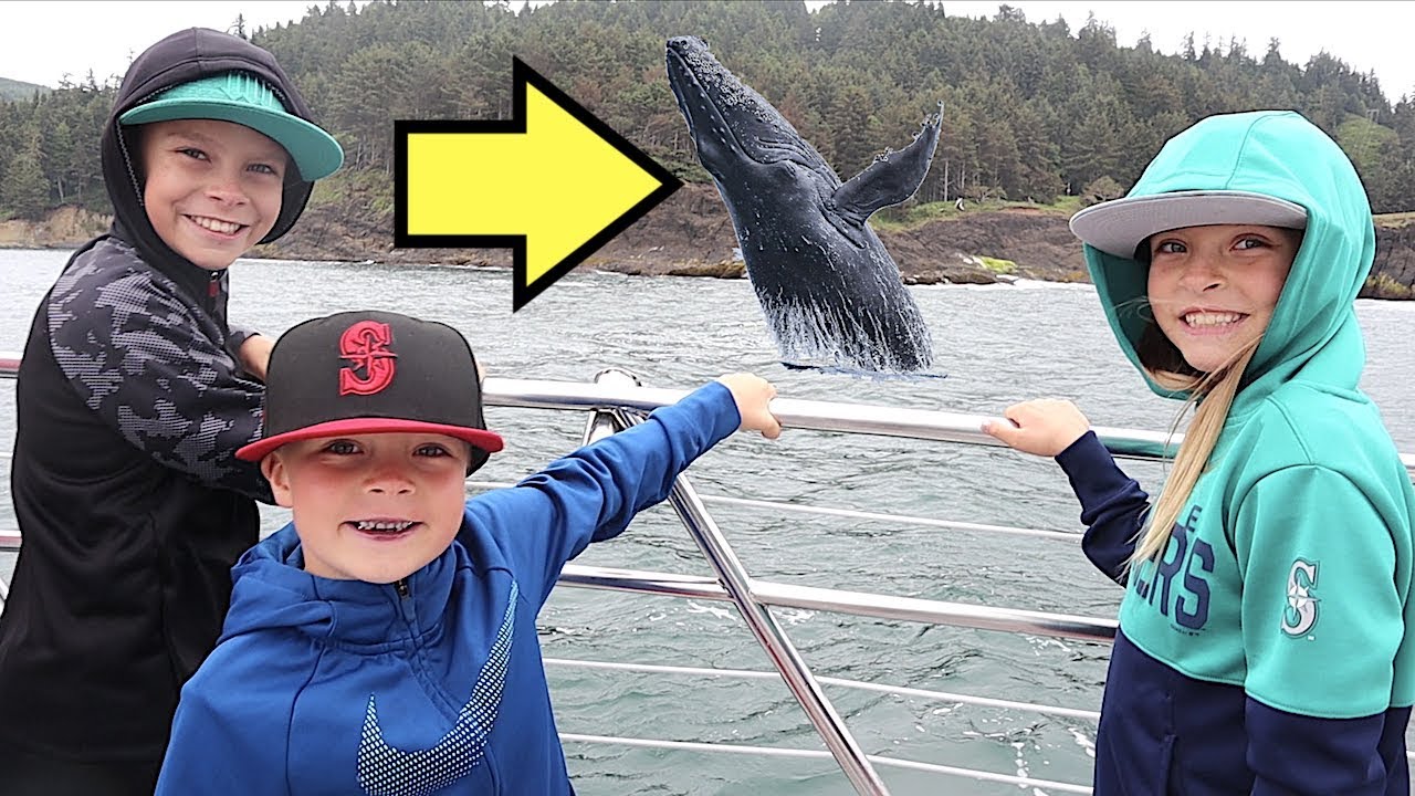 🛥WHALE WATCHING For The FIRST TIME! 🐋