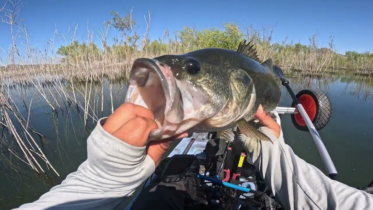 Perris Reservoir: 8 Fish Caught On Beds!!!