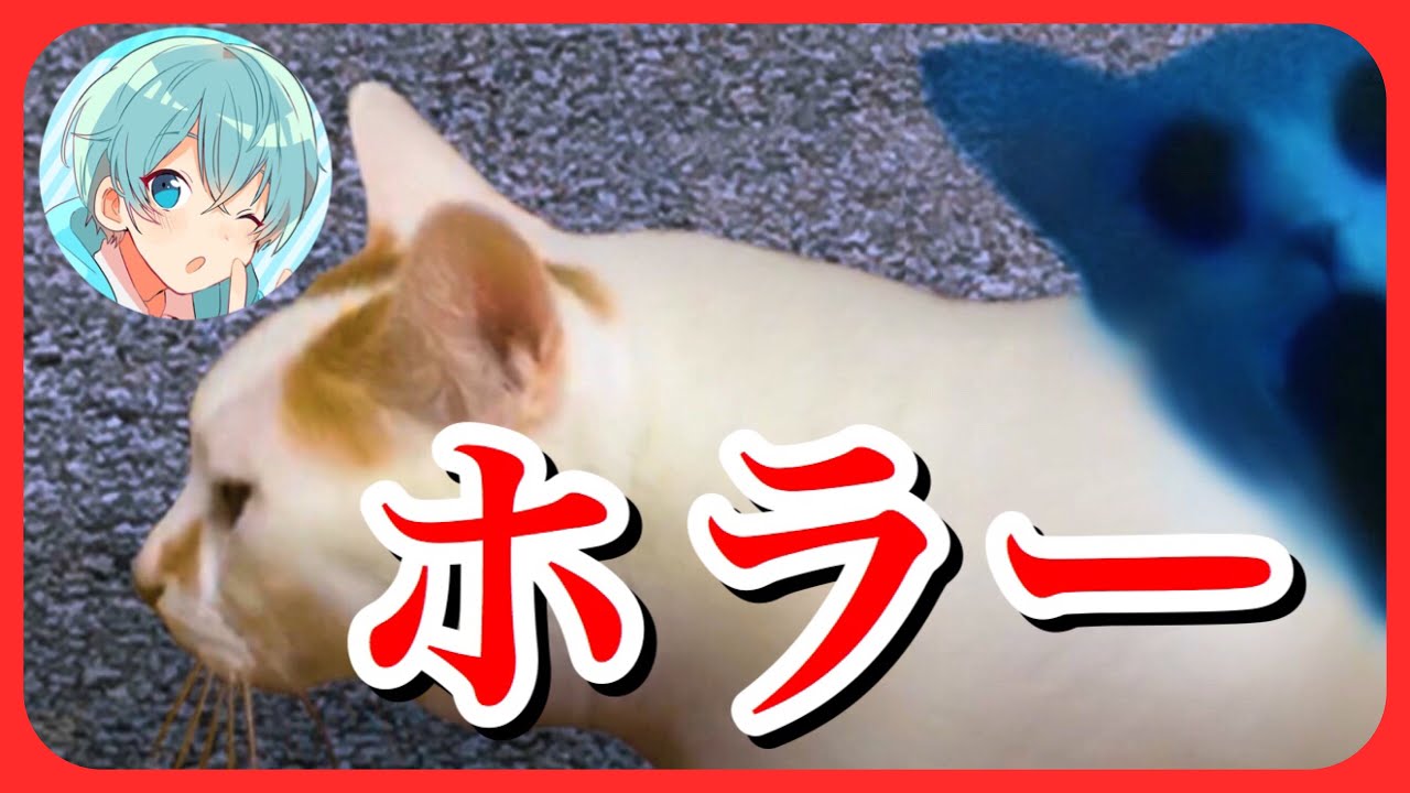 意味がわかるとゾッとする猫のホラーゲームが怖すぎる。。。