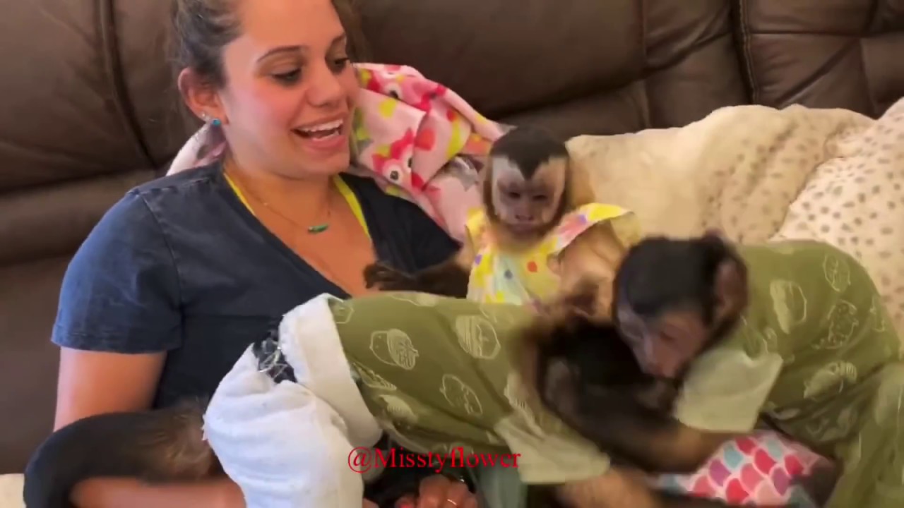 Monkey play time is very important, so if we don’t go out we play inside 🤪🤣👍🏻👏🏻❤️with sissy 🤪