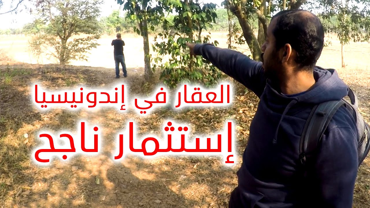 العقار في إندونيسيا | إستثمار ناجح/DOLA