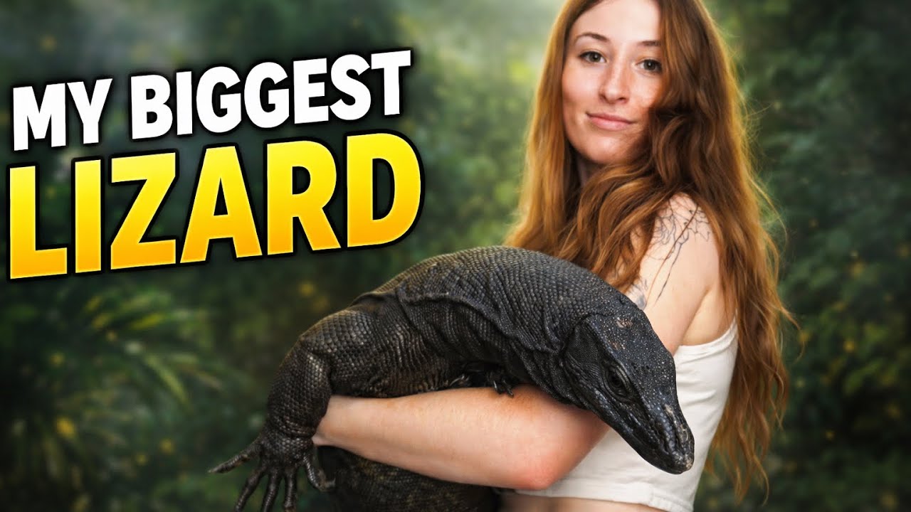 What it&rsquo;s like owning a giant lizard species - Black Dragon Water Monitor