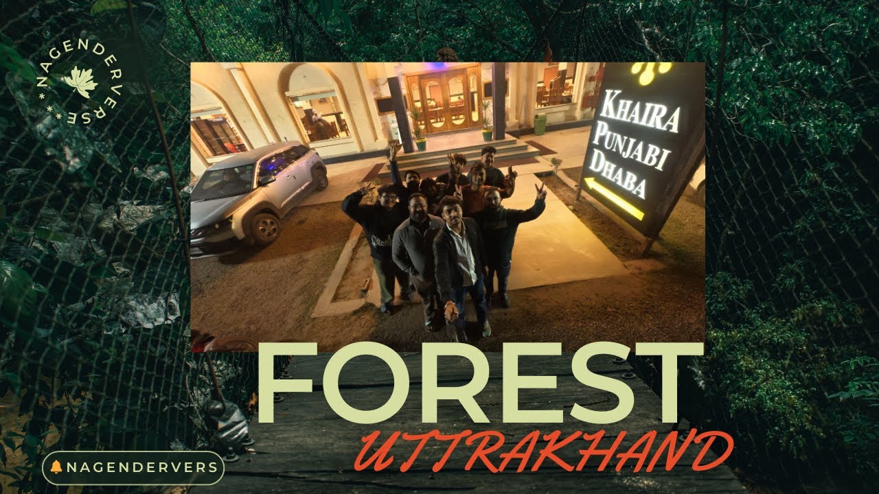 Mast + Adventure in Uttarakhand | Night Safari Type Experience 🐘✨