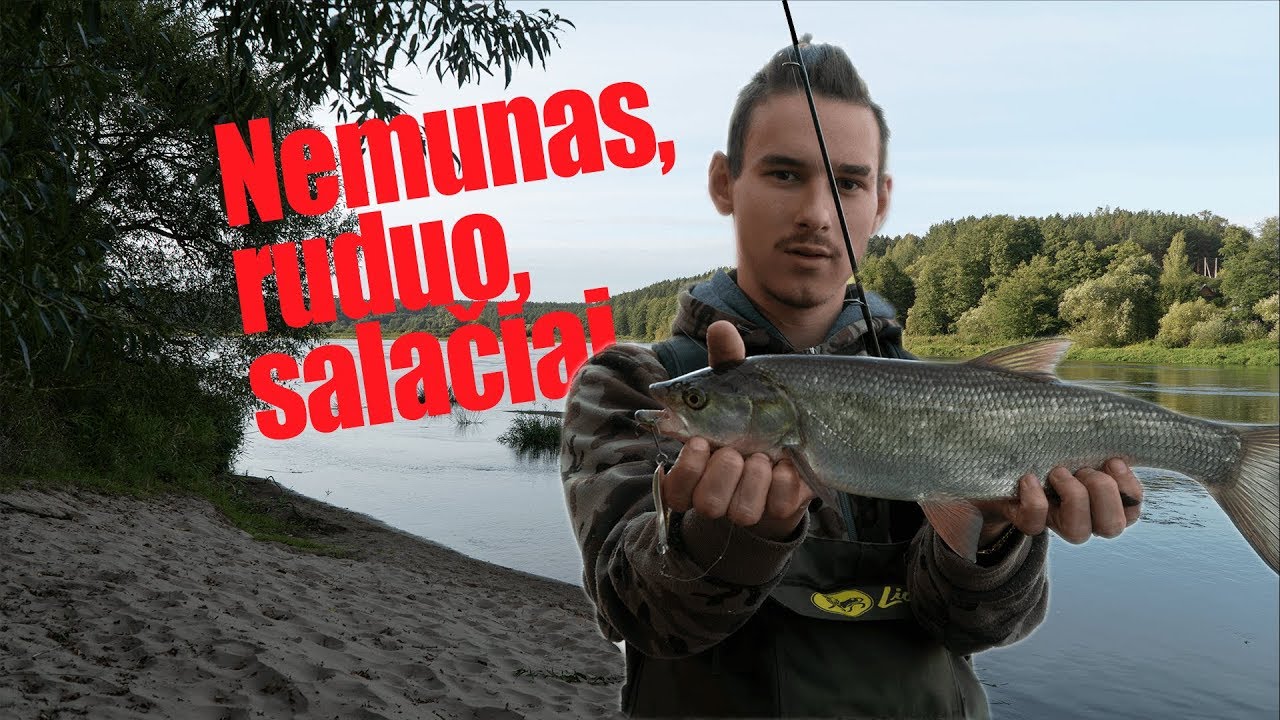 Nemunas, ruduo, salačiai