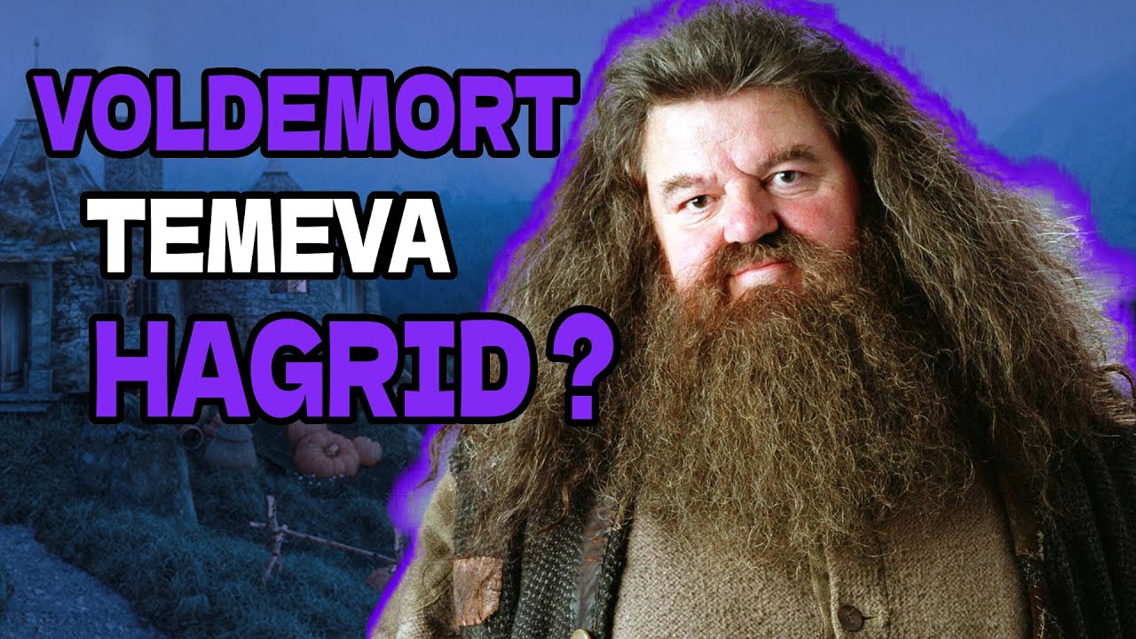 Le 5 MIGLIORI teorie su Hagrid -Harry Potter ITA