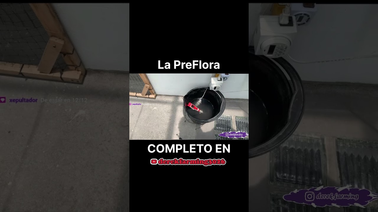 La preflora