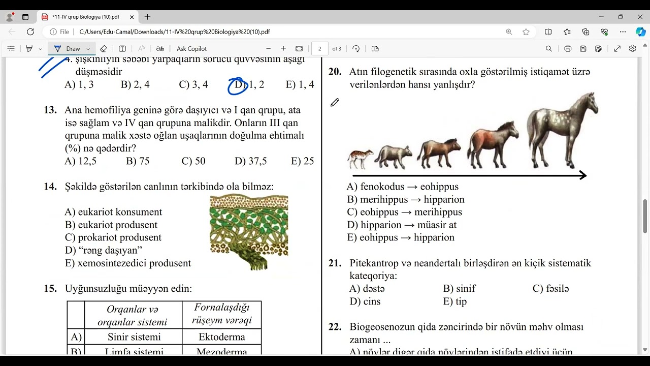 Yeni abituriyent ÜSİ-2 Biologiya