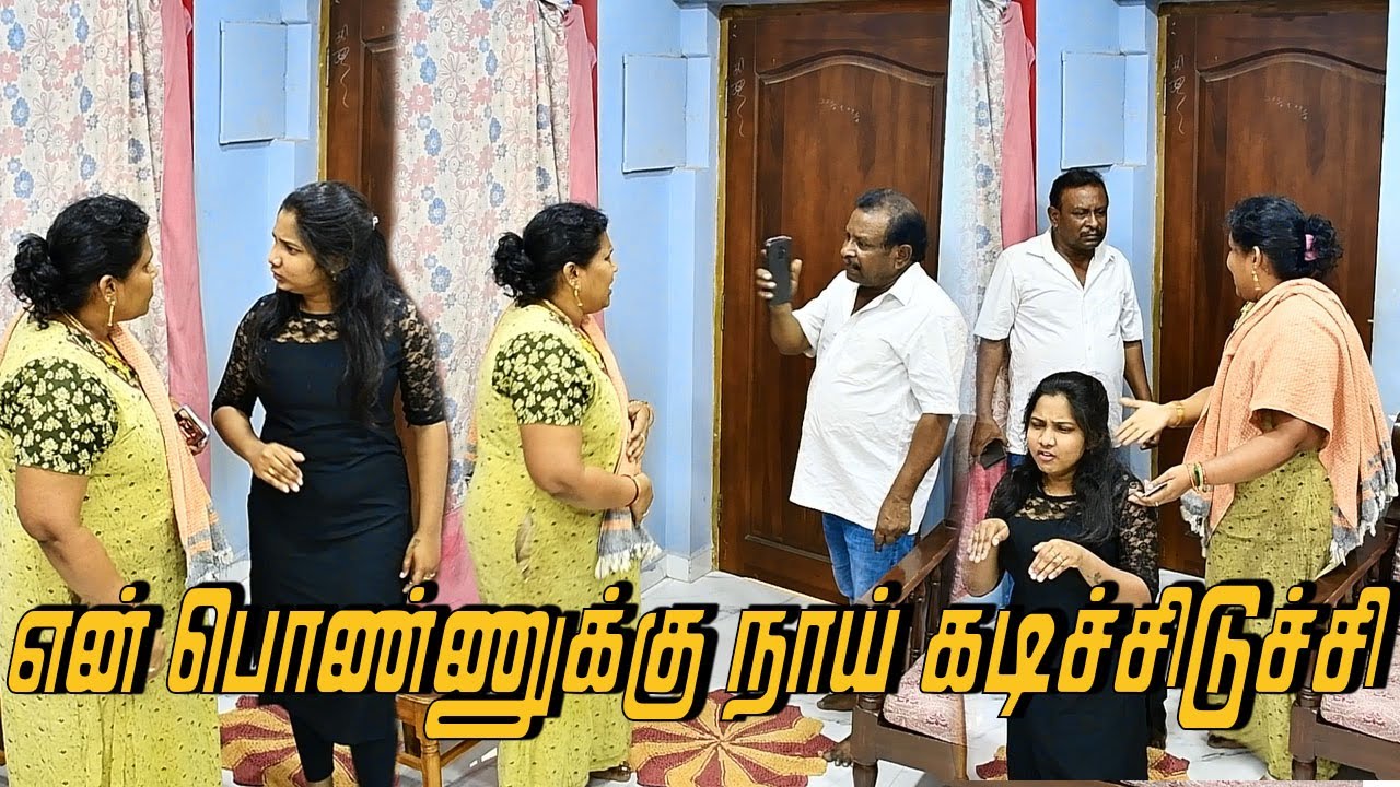 என் பொண்ணுக்கு நாய் கடிச்சிடிச்சி | AMMA PONNU COMEDY VIDEO | NAGAI 360* ULTIMATE