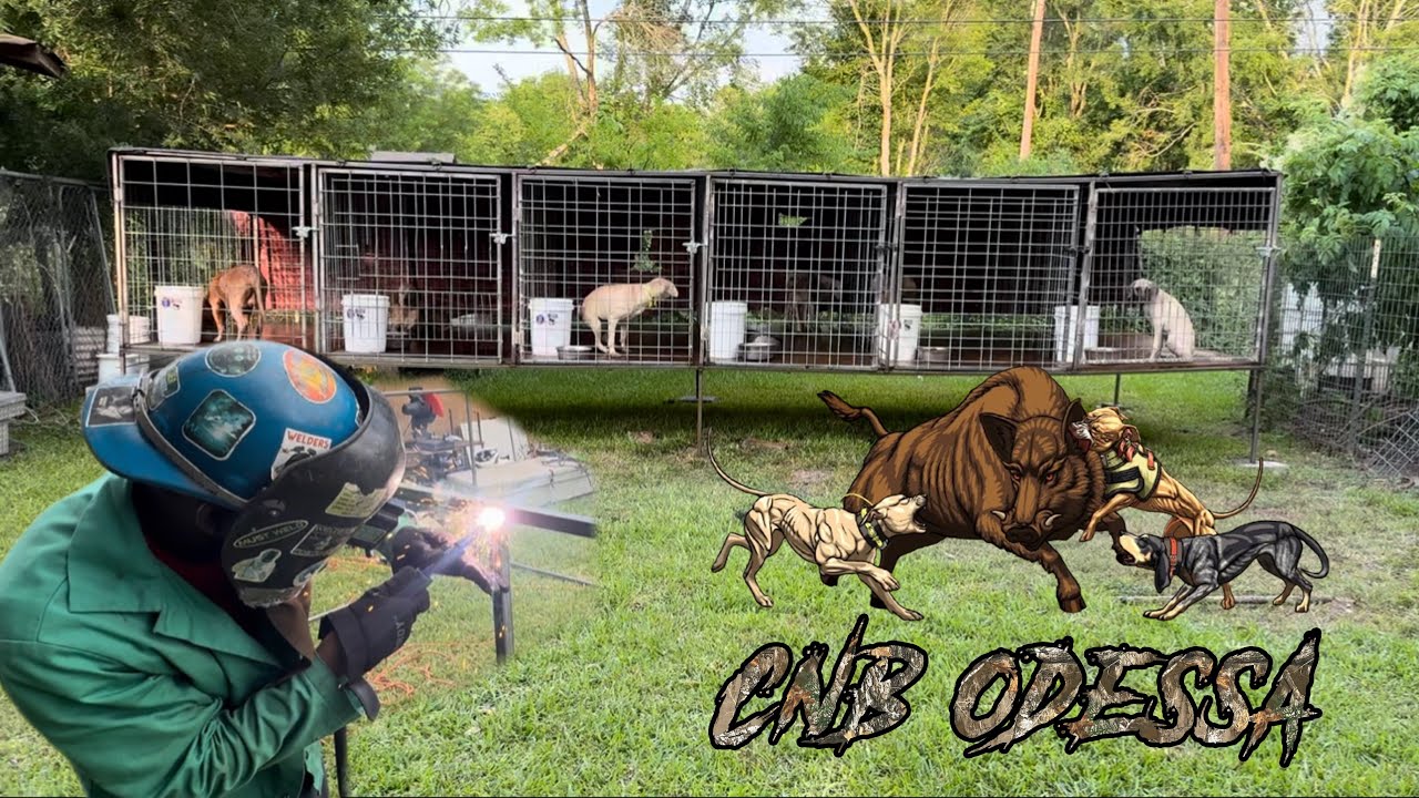 Built a new 6hole dog kennel for my hog dogs          ( CNB ODESSA KENNELS ) #CURSNBOARS