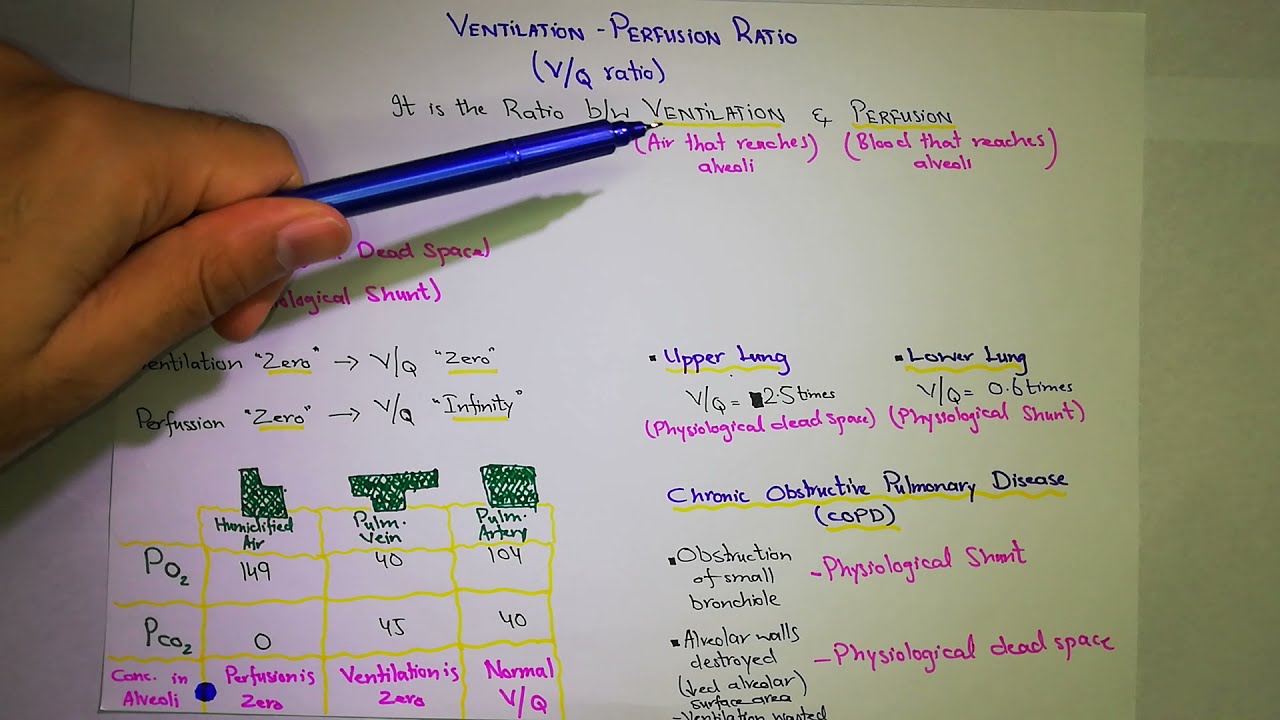 Ventilation-Perfusion Ratio. Chapter 40 - part 5. Guyton and hall text book of physiology.