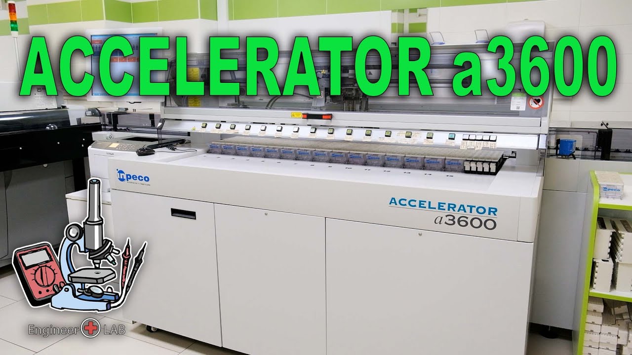 ACCELLERATOR a3600. Abbott ARCHITECT i2000SR + ALINITY c