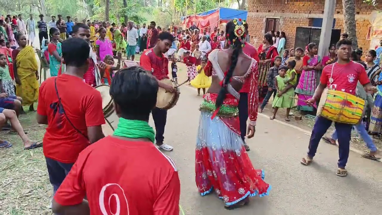 Tasha Party video // santhali tasha party video // new video