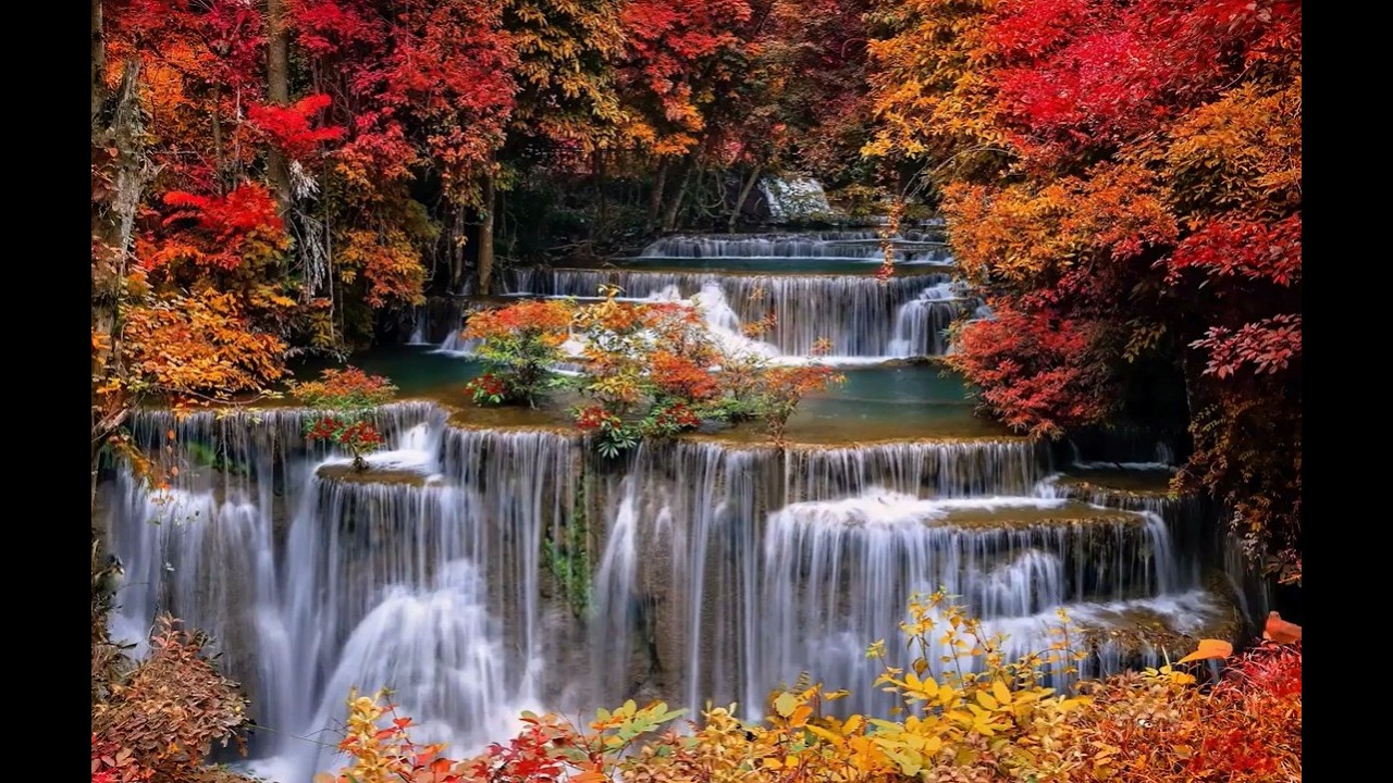 Cascada relajante de agua 💧canto de los pájaros 🐦 música relajante relajante para dormir y descansar