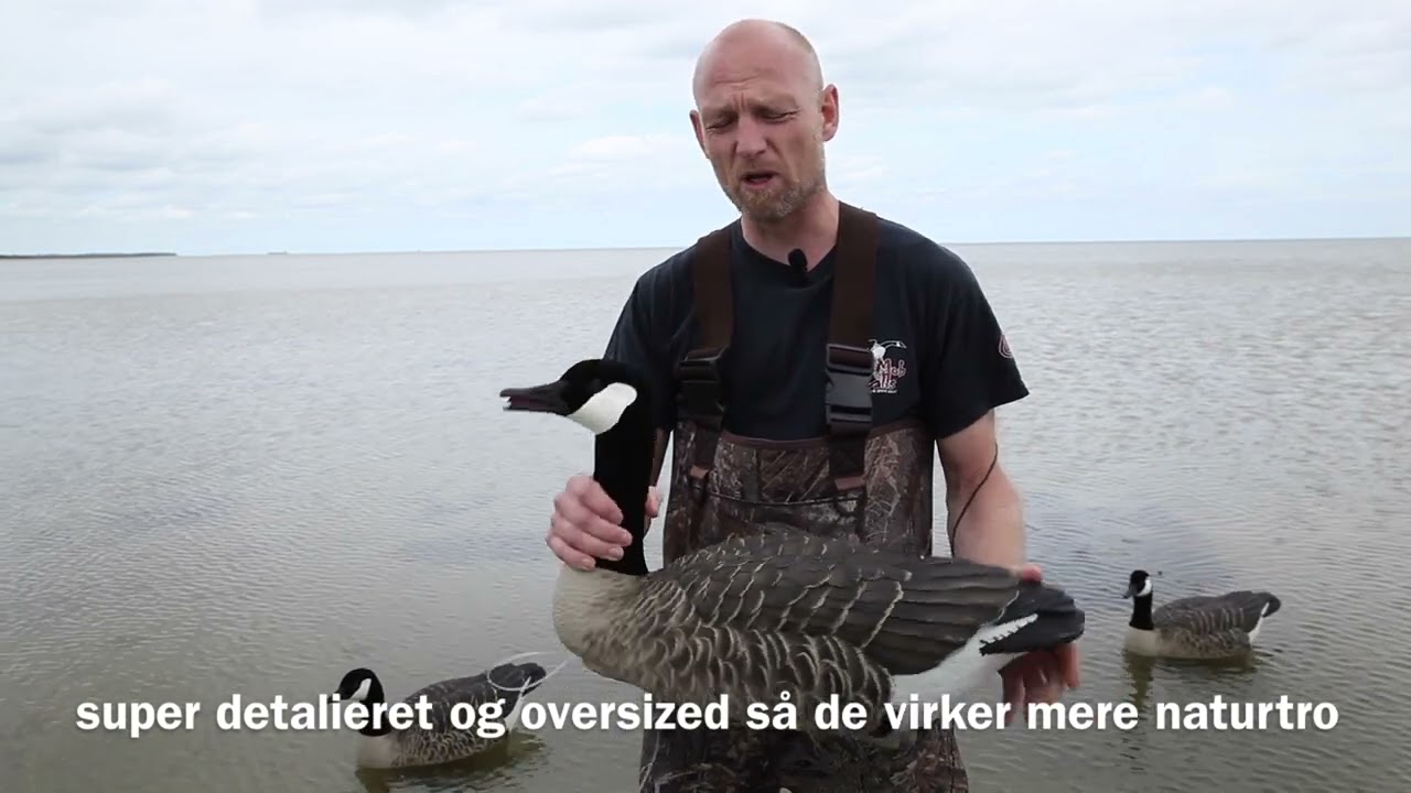Avian‑X Canada Flydende Lokkegæs | Realistisk Lokke‑Setup for GæsBeskrivelse: