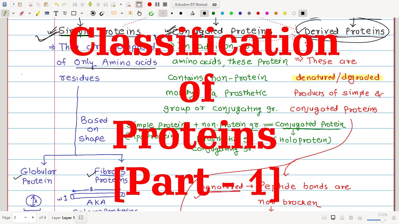 28. Classification of Proteins [Part-1] | Based on Functions, Chemical nature (Solubility) & Shape