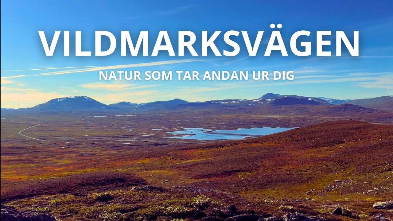JAG HAR ALDRIG UPPLEVT NÅT LIKNANDE I SVERIGE!