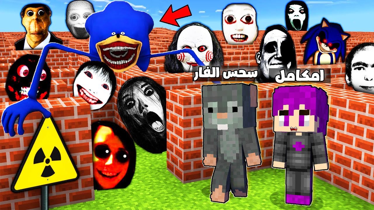 اول شخص يصل الي النهاية يفوز في اكبر متاهه في العالم ضد سونيك الشيطاني واصدقائة مع صديقي الفأر 😨🔥