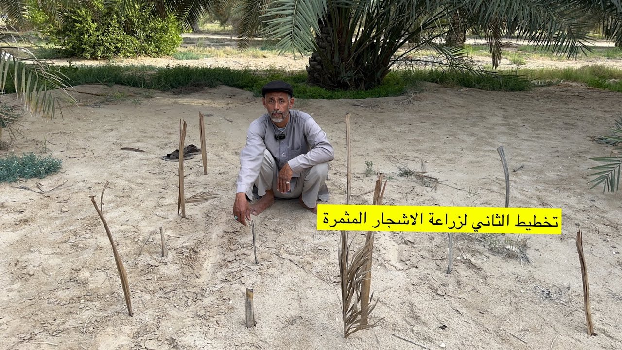 تخطيط الثاني لزراعة الاشجار المثمرة مع الزعيم ابوسلمان