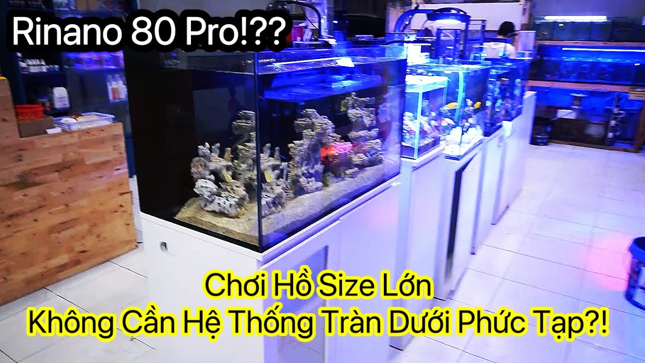 Giờ Đây Bạn Có Thể Chơi Hồ Cá Biển Size 80cm Mà Không Cần Hệ Thống Lọc Tràn Dưới Phức Tạp |Rinano 80