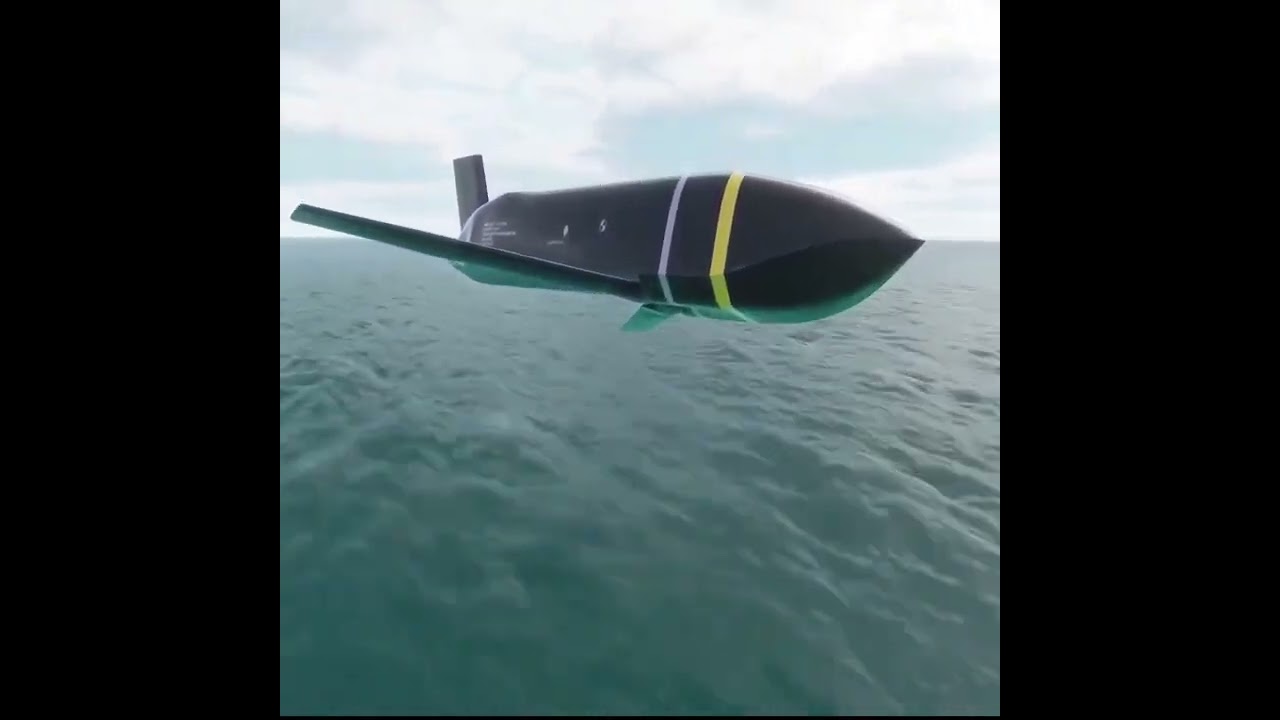 Long Range Anti Ship Missile(LRASM) in Action  DCS World