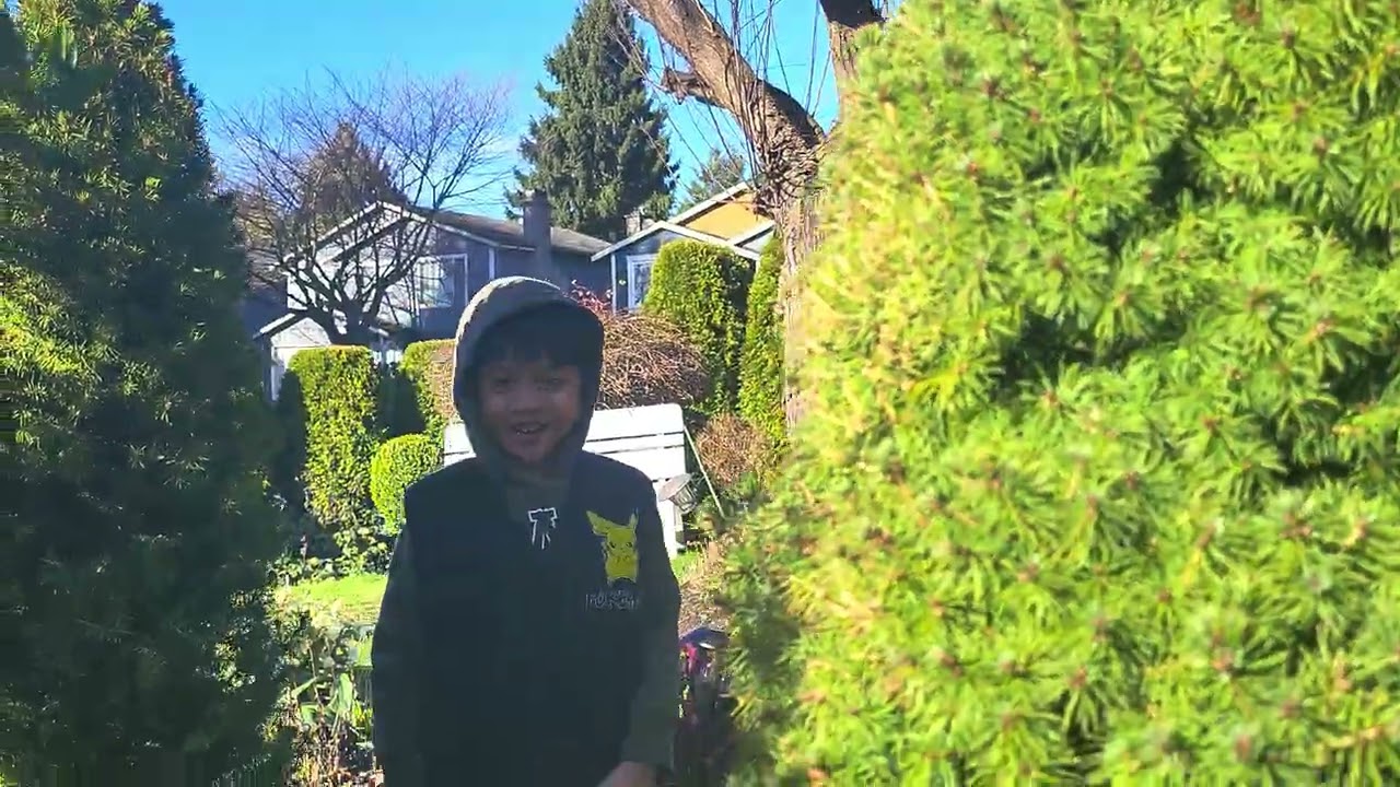 Vlog116 #Beautiful Hellebores in the frontyard