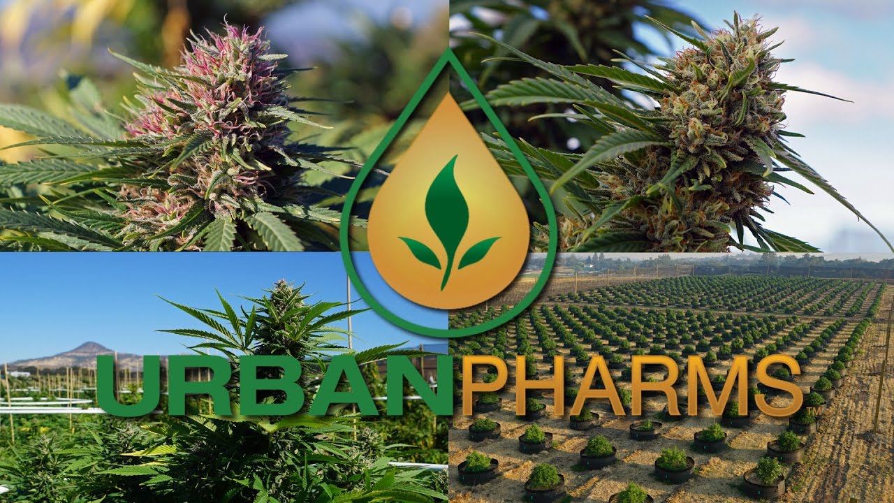 Urban Pharms