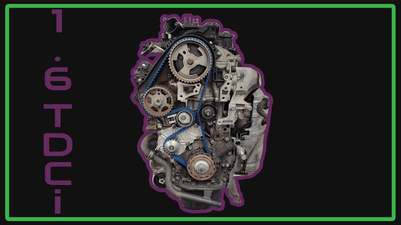 Ford 1.6TDCi Timing Belt with water pump replacement - How to tutorial