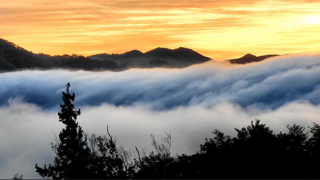 滝のように流れ下る雲海⛅両国おろし (4K) / A sea of ​​clouds flowing down like a waterfall