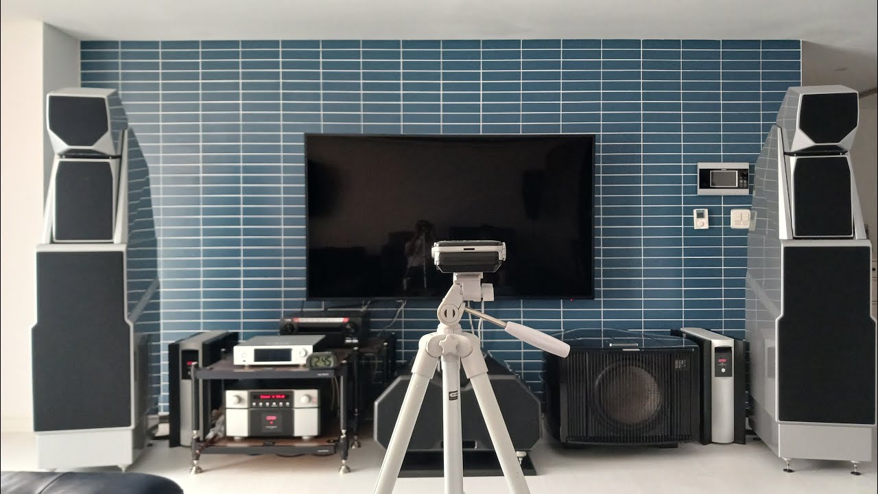 Wilson Audio Maxx Series 3 #1 (before)