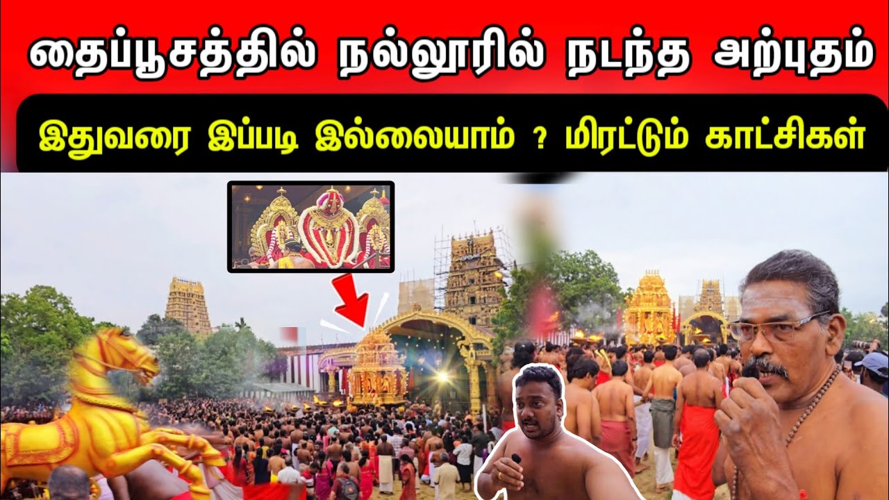 இன்று நல்லூரில் நடந்த அற்புதம் ! தங்க நகைகளுடன் மிரளவைக்கும் காட்சிகள்! மஞ்சம் இப்படி நக்குமா ?