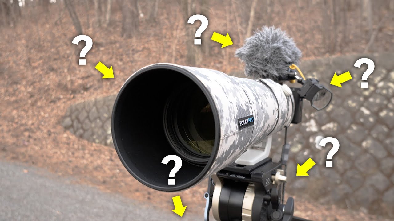 野鳥撮影の機材から設定まで！とむのやり方を解説します【メインのカメラバッグ決めました】