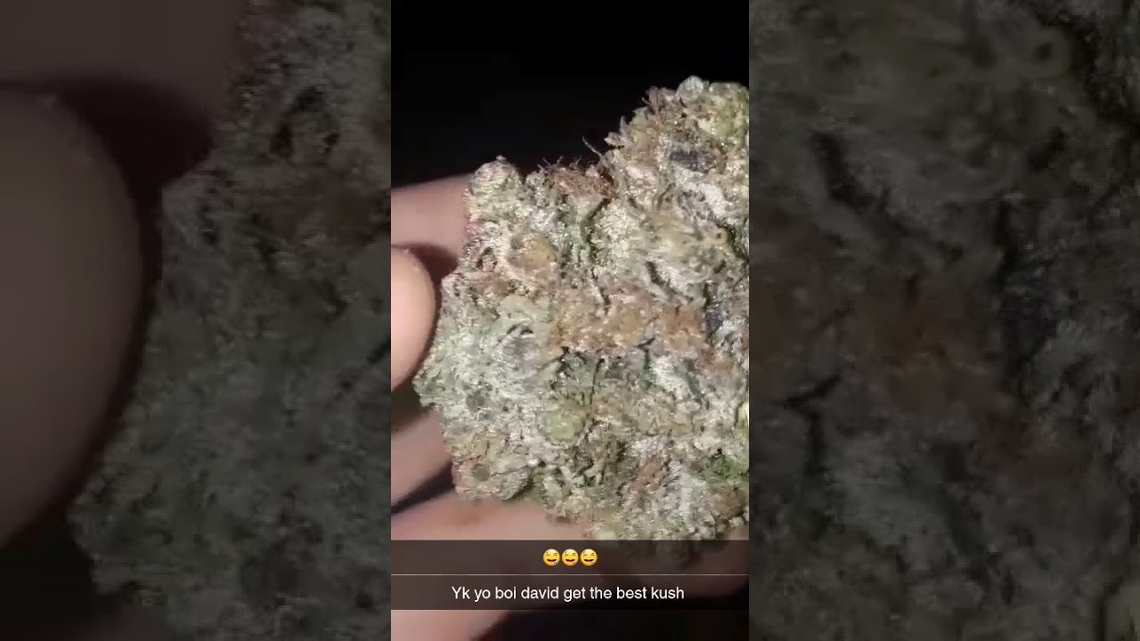 PURPLE ROCKSTAR STRAIN