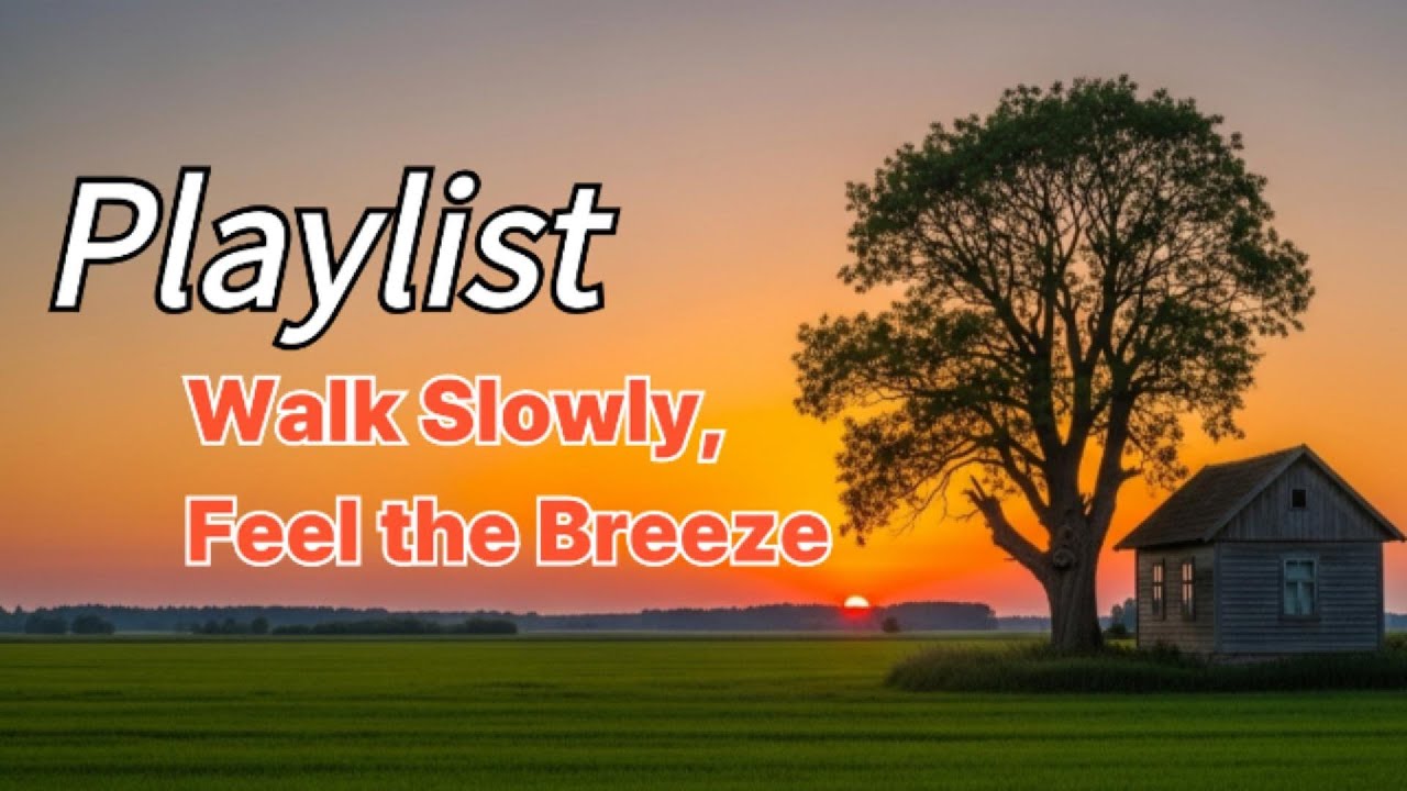 Walk Slowly, Feel the Breeze | 1 Hours of Calm Focus, Study & Meditation