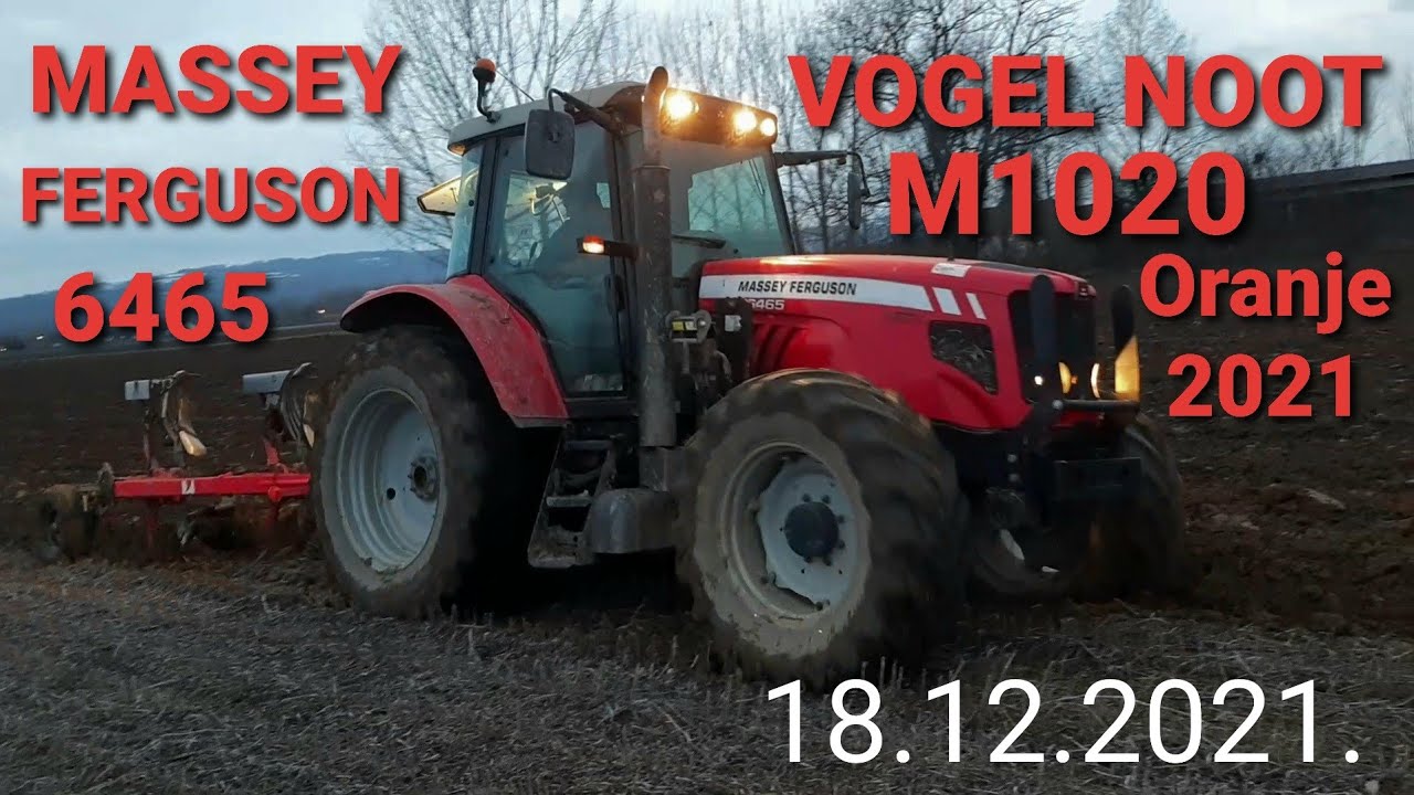 Oranje 2021 | Massey Ferguson 6465 i VOGEL NOOT M1020 Oranje 2021 | Plowing 2021 | Dji Mini 2