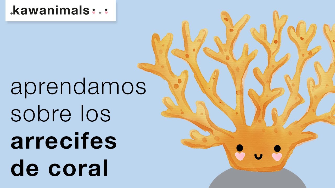 Aprendamos sobre los Arrecifes de Coral | Kawanimals | Se amable con nuestro planeta