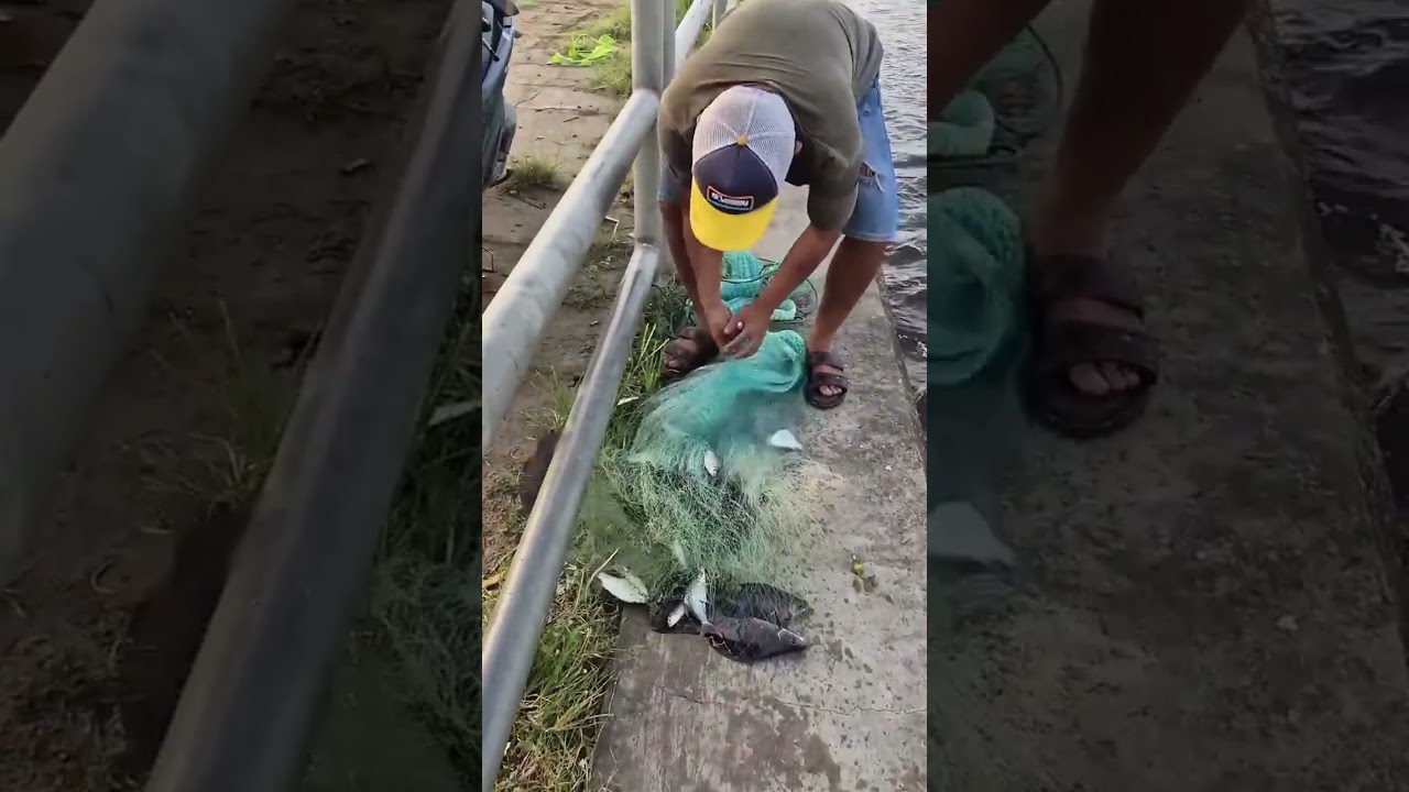Jala ikan di bawah pintu air Bendung gerak dapat ribuan ikan 