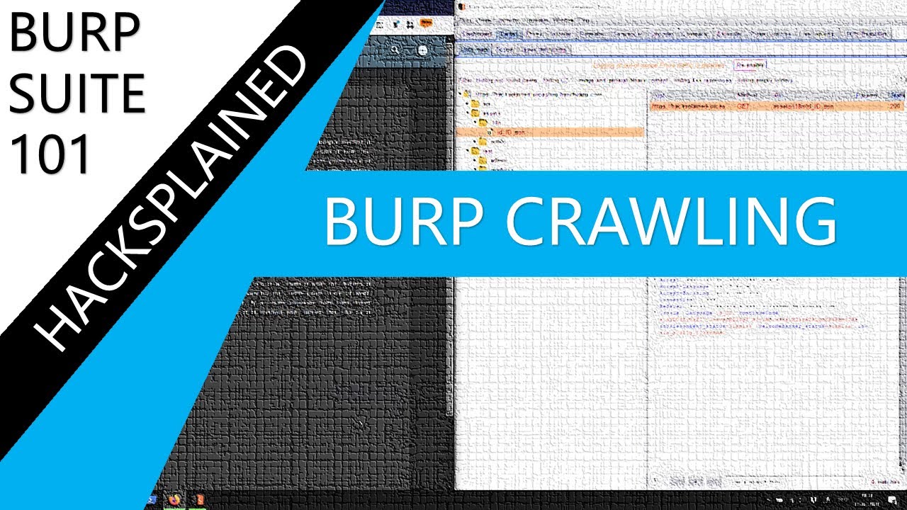 Как сканировать веб-приложение (с помощью Burp Suite Community Edition)